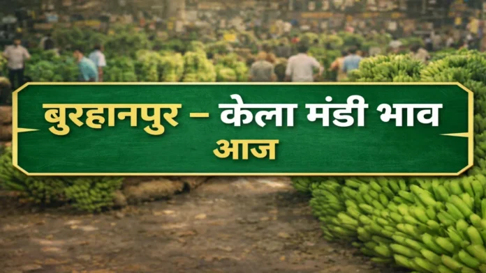 बुरहानपुर मंडी में आज के केला के भाव Burhanpur Today's Banana Rates